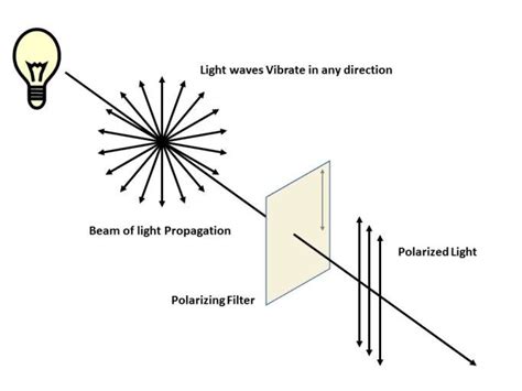 Schematic Representation Of The Light Polarization Download