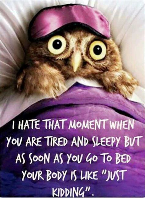 That Moment When You Are So Tired And You Get To Bed And Your Body Says No Good Night Funny