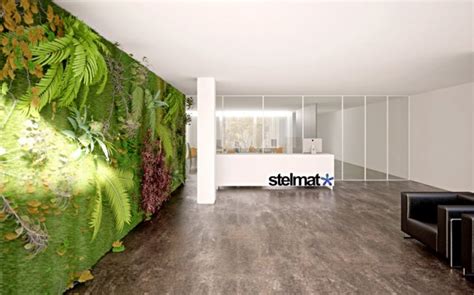 Beautiful Offices Of Stelmat Teleinformatica