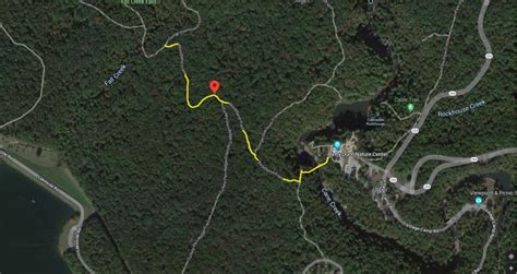 Woodland Trail Fall Creek Falls Guide