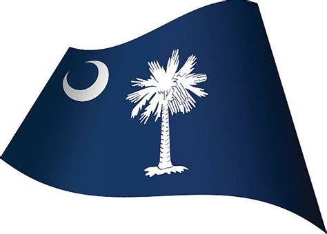 Best South Carolina Flag Illustrations Royalty Free Vector Graphics