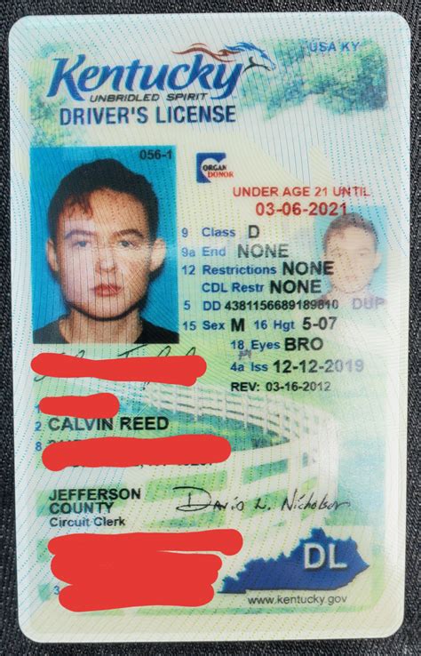 Find my drivers license number ky - lasopabook