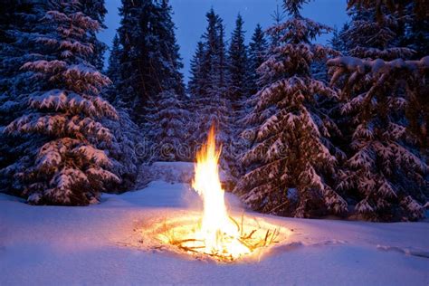 Bonfire On Snow Stock Image Image Of Bonfire Twilight 82049387