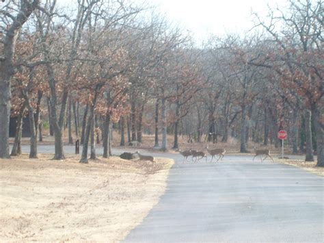 2131 osage hills park rd. Osage Hills State Park, an Oklahoma State Park located ...