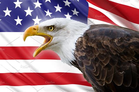 Bald Eagle And Usa Flag Featuring America American And Animal High