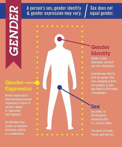 Gender Identity Gender Expression And Sex