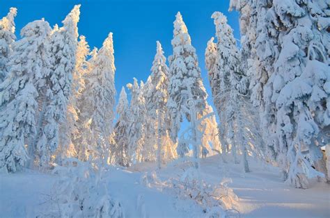 Winter Scene On Mountain Stock Photo Image Of Lighted 48681446