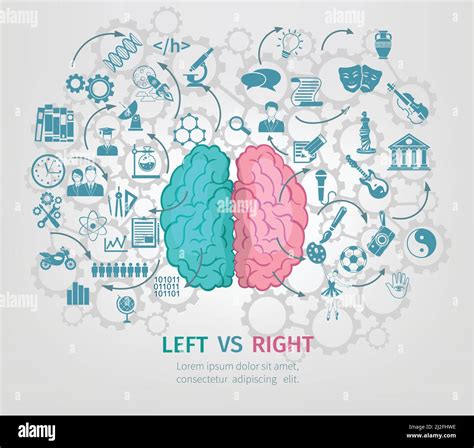 Human Brain Concept With Left And Right Hemispheres Flat Vector