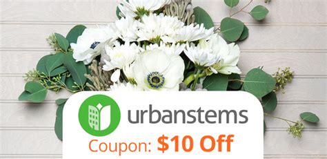 Instead of flowers promo code. UrbanStems Promo Code: Get $10 off your order of Flowers!