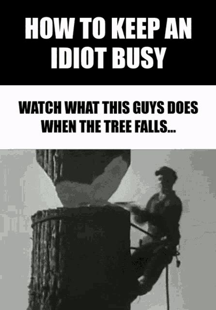 How To Keep An Idiot Busy Watch What Happend When The Tree Falls 