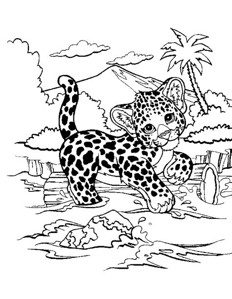 Free Baby Cheetah For Coloring Pages Download Free Baby Cheetah For