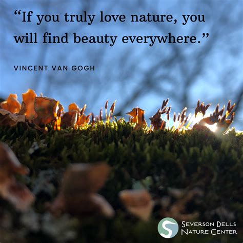 Love For Nature 7 Of Our Favorite Nature Quotes — Severson Dells