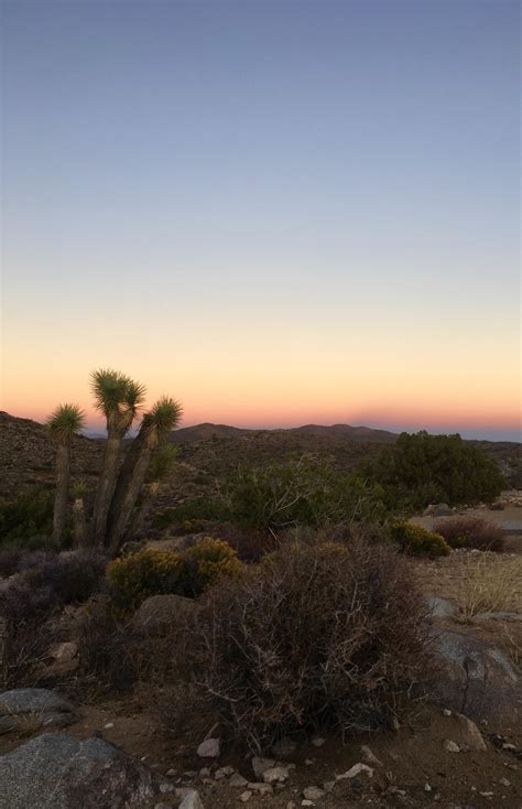 Sunset This Afternoon In Joshua Tree National Park In Southern