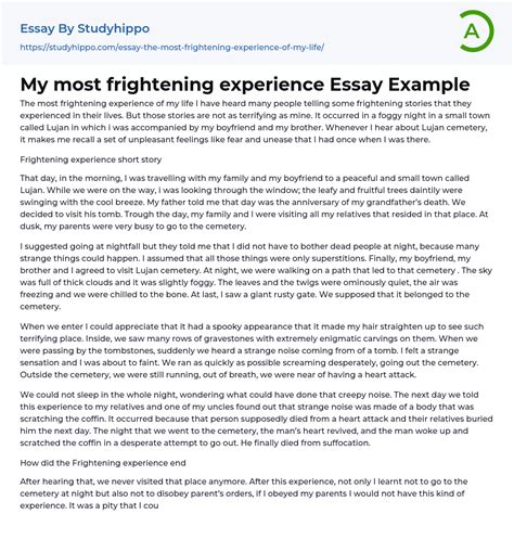 My Most Frightening Experience Essay Example