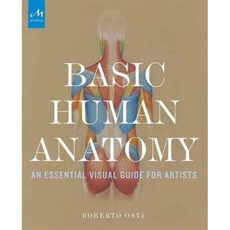 Basic Human Anatomy An Essential Visual Guide For Artists By Roberto