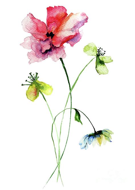 Wild Flowers Watercolor Illustration Painting By Regina Jershova Pixels