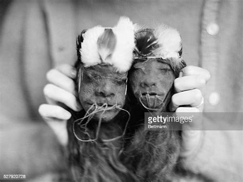 Shrunken Heads Photos And Premium High Res Pictures Getty Images