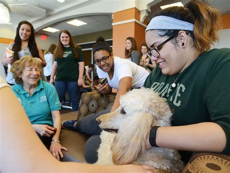 Dogs Help College Students During End Of Semester Crunch Harrison Ny