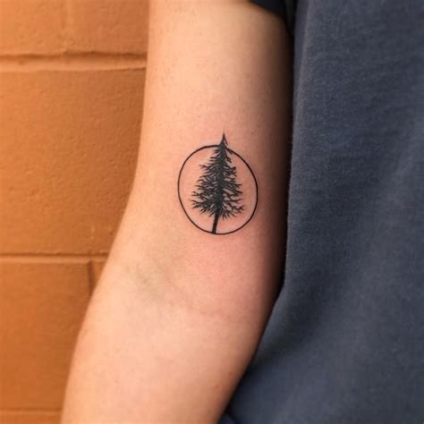 Image Result For Minimalist Cedar Tree Tattoo Circle Tattoos Subtle