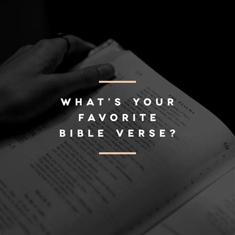 What's your favorite Bible verse? - Sunday Social