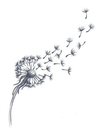 Dandelion Tattoo – Tattooed Now