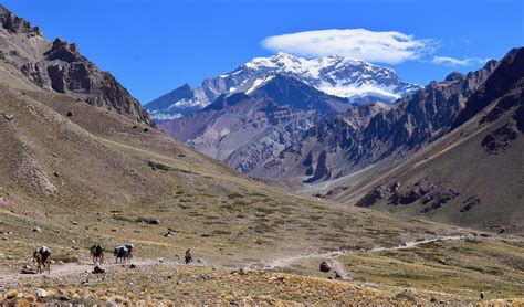 Nouveau Record Dascension Sur Laconcagua Lun Des Fameux “7 Summits