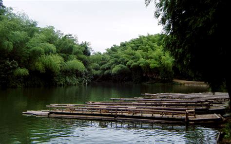 Shunan Bamboo Sea The Biggest Natural Bamboo Forest China Tours