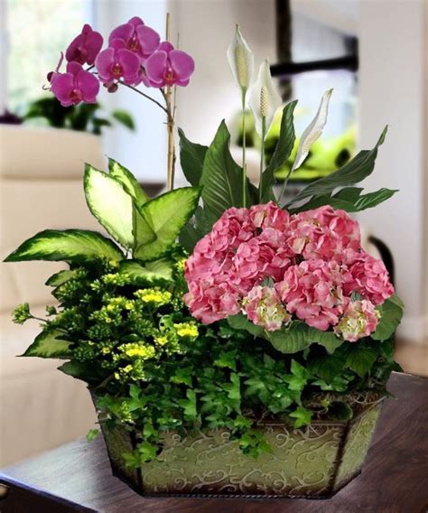Check spelling or type a new query. Best Florist in Marietta GA | Carithers Flowers