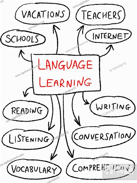Language Learning Mind Map Education Doodle Illustration Stock