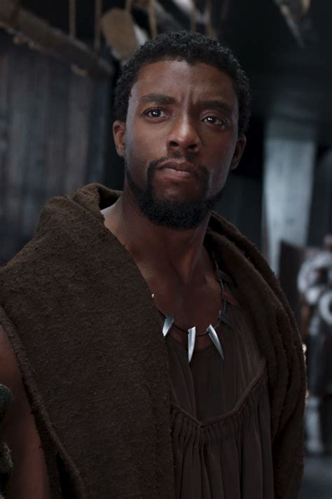 Black Panther Character Tchalla Chadwick Boseman Marvel