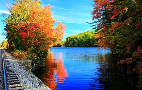 Wallpaper Trees Lake Rails Colors Autumn Trees