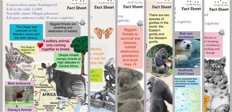 Animal Fact Sheets Everything You Need To Know About Zoos And