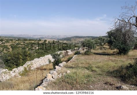 Khirbet Qeiyafa Biblical Site Located Elah Stock Photo 1293986116