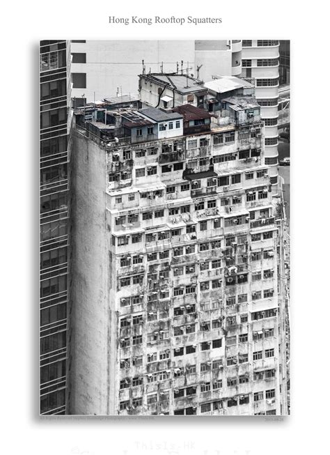 Hong Kong Rooftop Squatters This Is Hong Kong Hong Kong