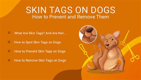 Easy Ways To Remove Skin Tags On Dogs Removemania
