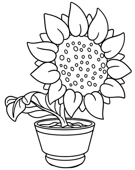 Desenho Para Colorir Girassol