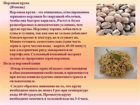 Диета перловая яйцо Диета перловая: Перловая диета для похудения, можно ли есть перловку Диета перловая: Перловая диета для похудения, можно ли есть перловку Диета перловая яйцо