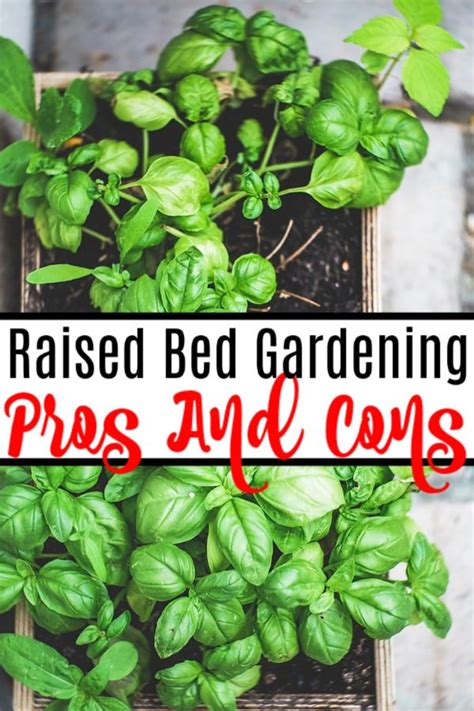 Pros And Cons Of Raised Bed Gardening Raised Garden Beds Raised