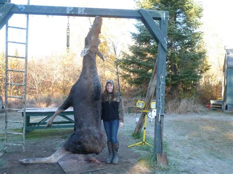 Moose Hunting Lodge And Guides In Zone 4 Maine
