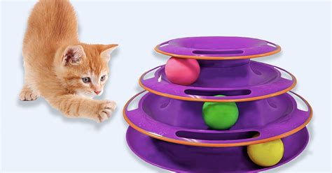 The 8 Best Cat Toys To Keep Them Busy