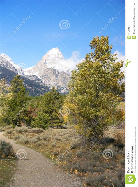 Grand Teton With Autumn Golden Aspens Stock Image Image Of Gold Peak
