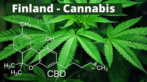 Finland Cannabis Napr