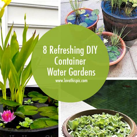 8 Refreshing Diy Container Water Gardens