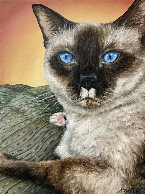 Siamese Cat Painting By Steph Moraca Pixels