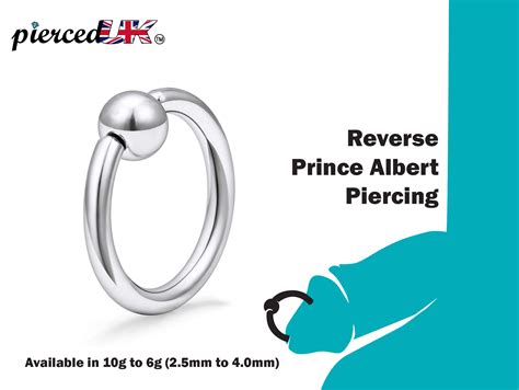 Prince Albert Piercing Captive Bead Ring Piercings For Etsy Australia