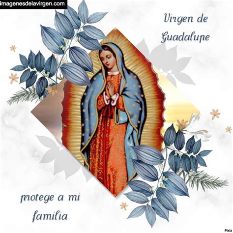Imágenes Y Tarjetas De La Virgen De Guadalupe