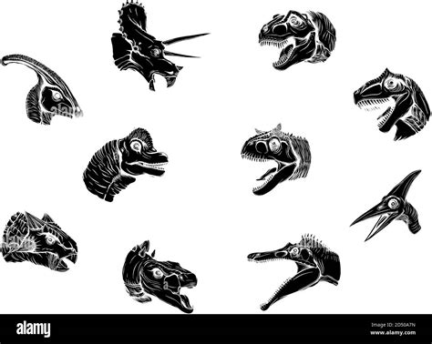 Un Grupo De Dinosaurios Sobre Un Fondo Blanco Vector Negro Silueta Imagen Vector De Stock Alamy