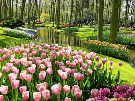 Taman Bunga Terindah Di Dunia 1024x768 Download Hd Wallpaper Wallpapertip