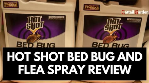 Hot Shot Bed Bug Fogger Reviews And Flea Spray Review 2021 Youtube