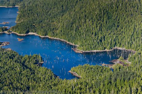 Aerial Of Tongass National Forest